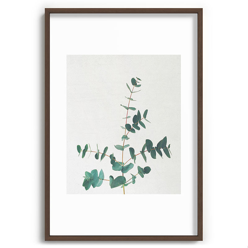 Eucalyptus Framed Art Print