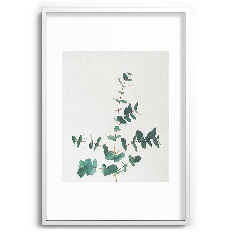 Eucalyptus Framed Art Print