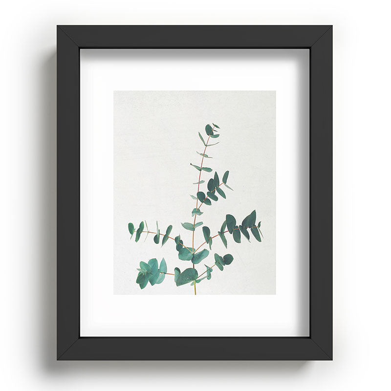 Eucalyptus Framed Art Print