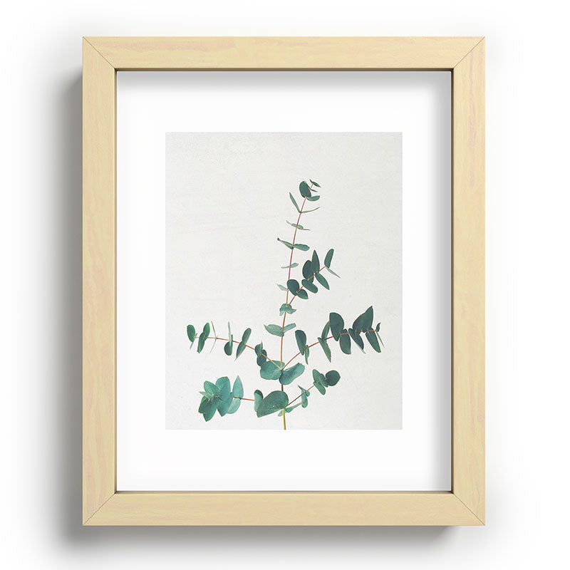 Eucalyptus Framed Art Print