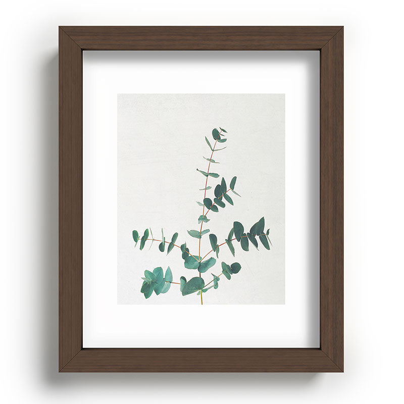 Eucalyptus Framed Art Print