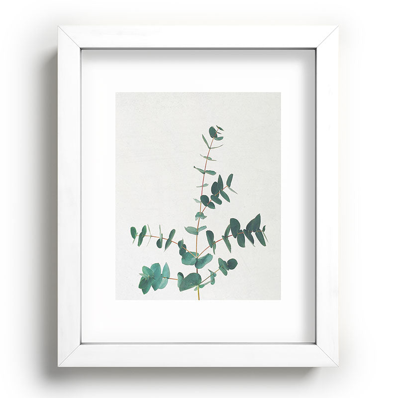 Eucalyptus Framed Art Print