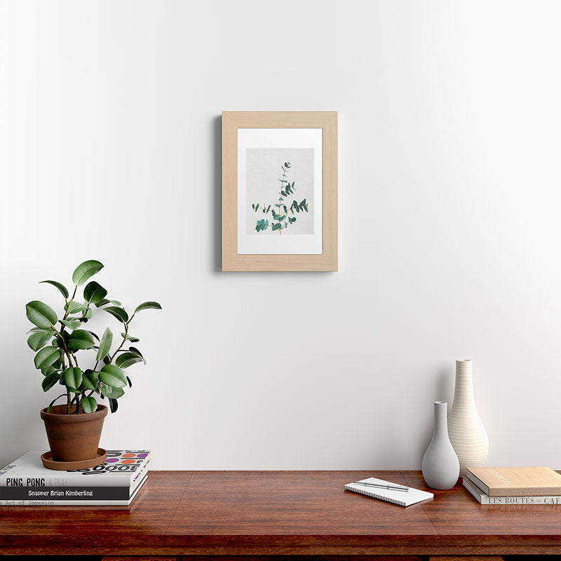 Eucalyptus Framed Art Print