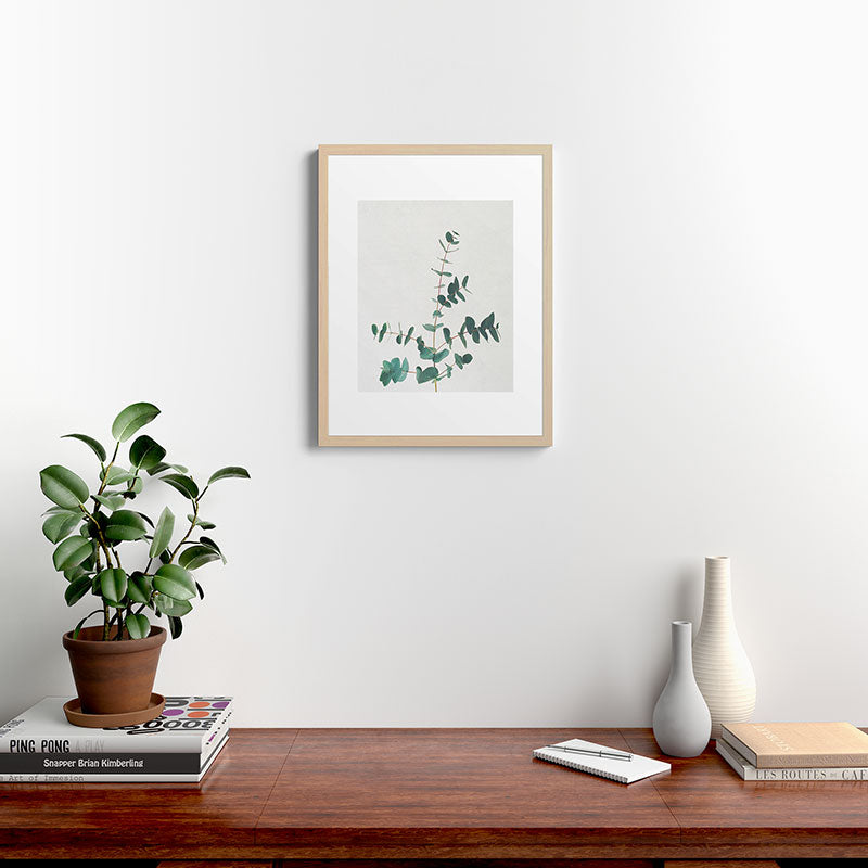 Eucalyptus Framed Art Print