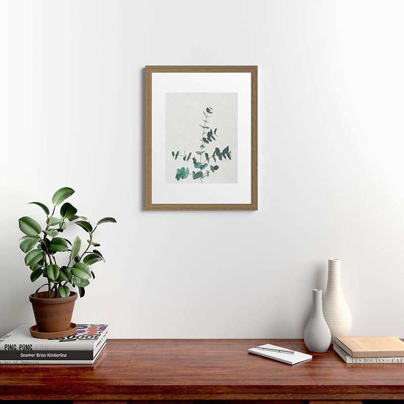 Eucalyptus Framed Art Print