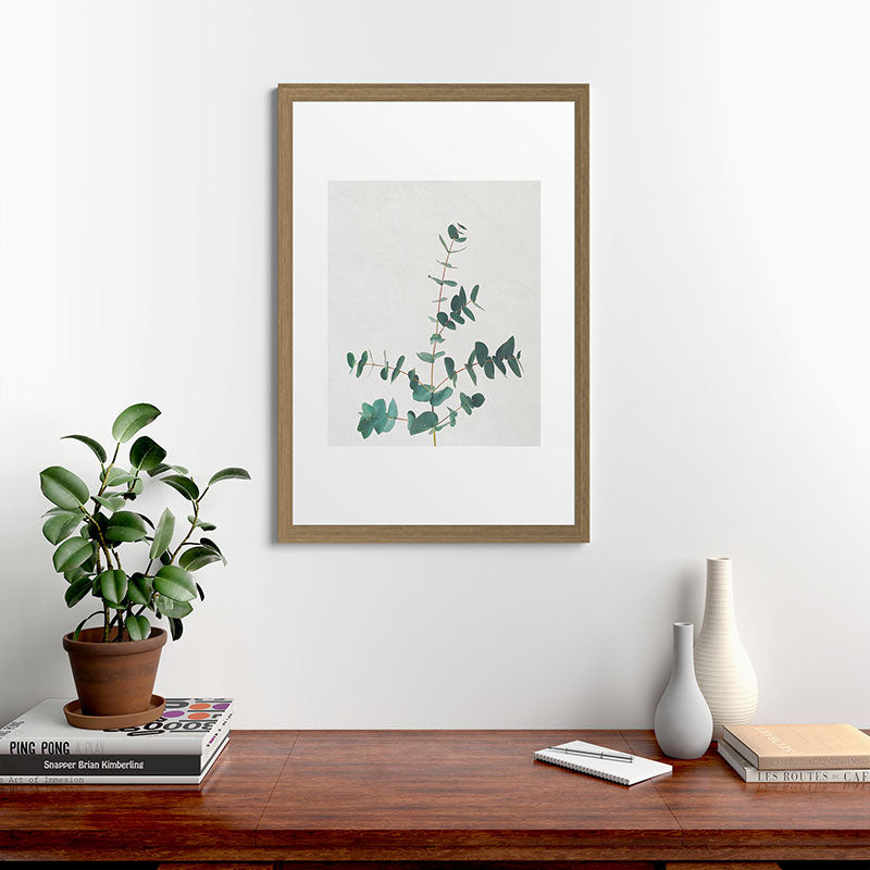 Eucalyptus Framed Art Print