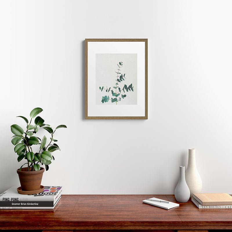 Eucalyptus Framed Art Print