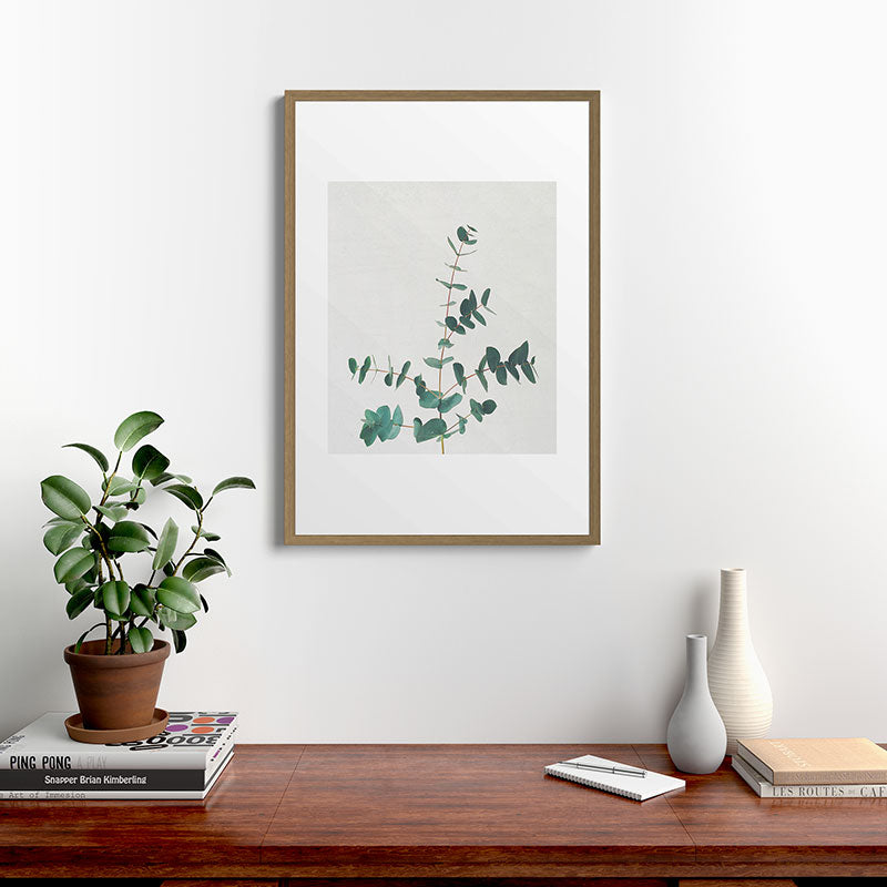 Eucalyptus Framed Art Print
