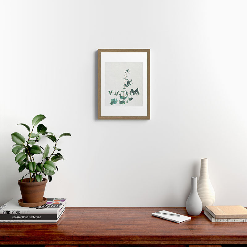 Eucalyptus Framed Art Print