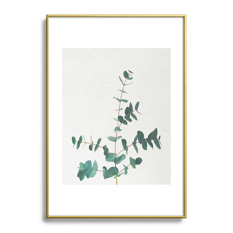 Eucalyptus Framed Art Print