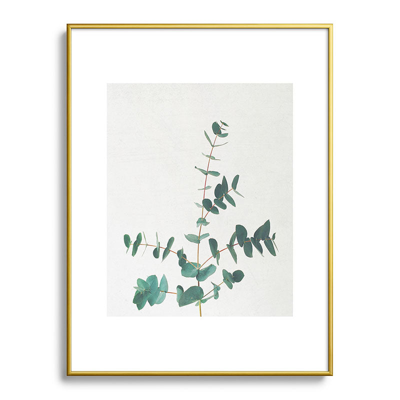 Eucalyptus Framed Art Print