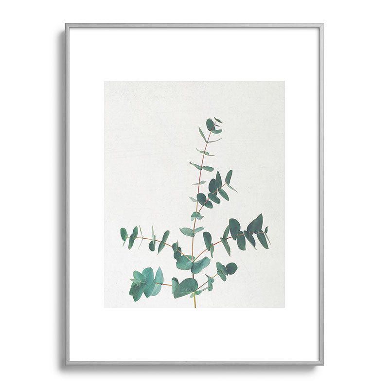 Eucalyptus Framed Art Print