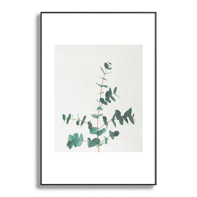 Eucalyptus Framed Art Print