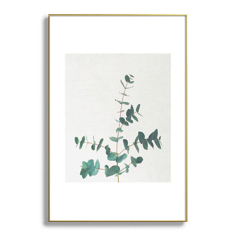Eucalyptus Framed Art Print