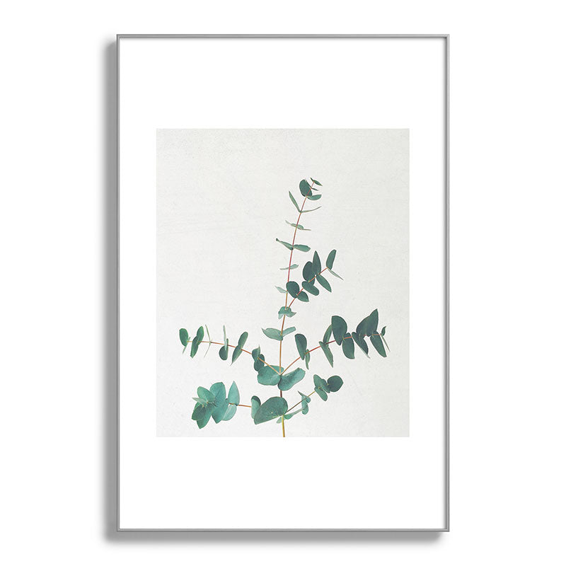 Eucalyptus Framed Art Print