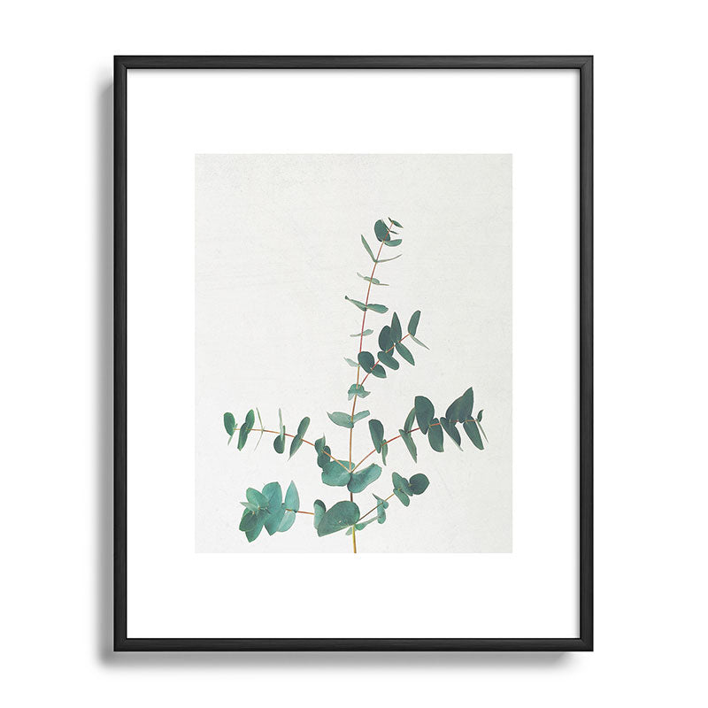 Eucalyptus Framed Art Print