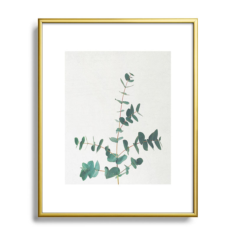 Eucalyptus Framed Art Print