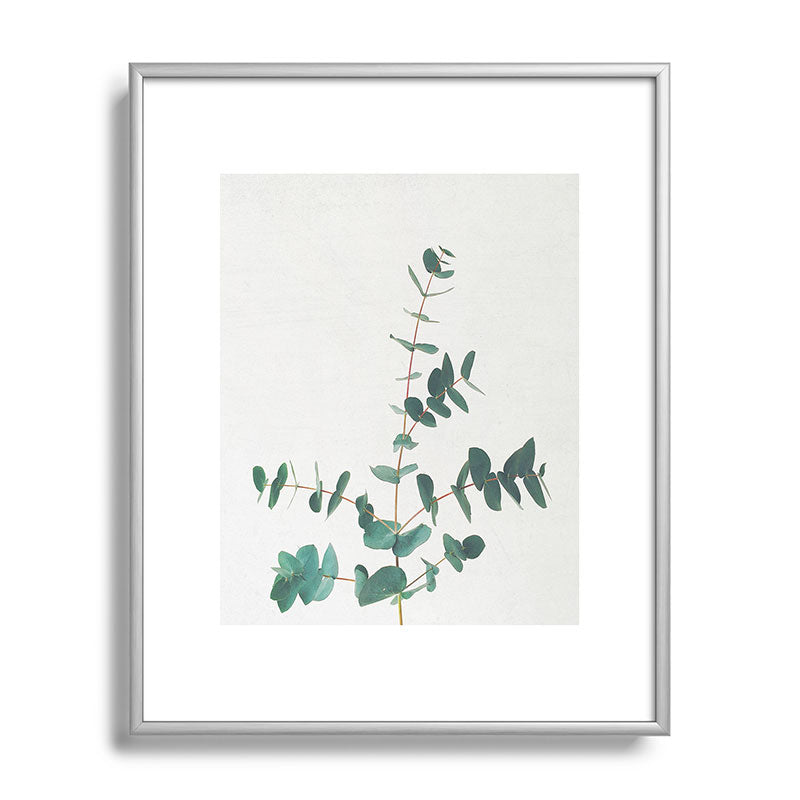 Eucalyptus Framed Art Print