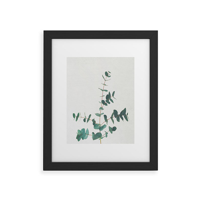 Eucalyptus Framed Art Print