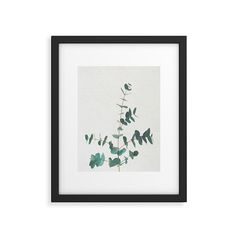 Eucalyptus Framed Art Print