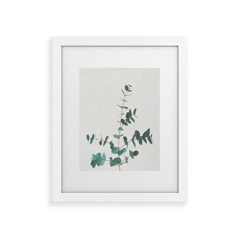 Eucalyptus Framed Art Print
