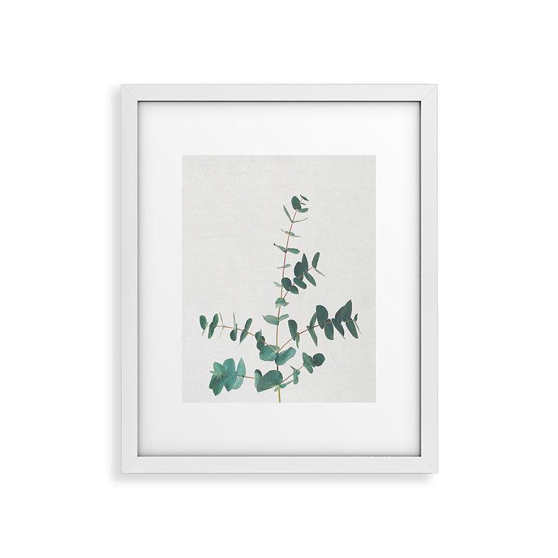 Eucalyptus Framed Art Print
