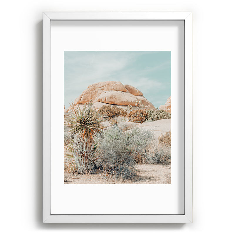 Joshua Tree Framed Art Print