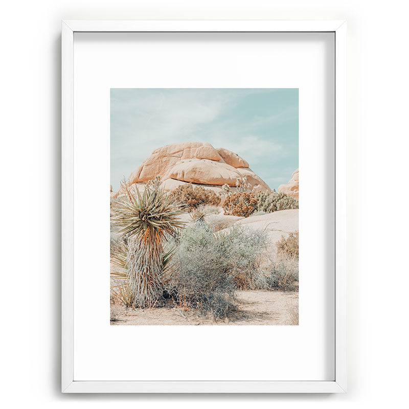 Joshua Tree Framed Art Print