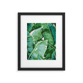 Banana leaf grandeur II Framed Art Print