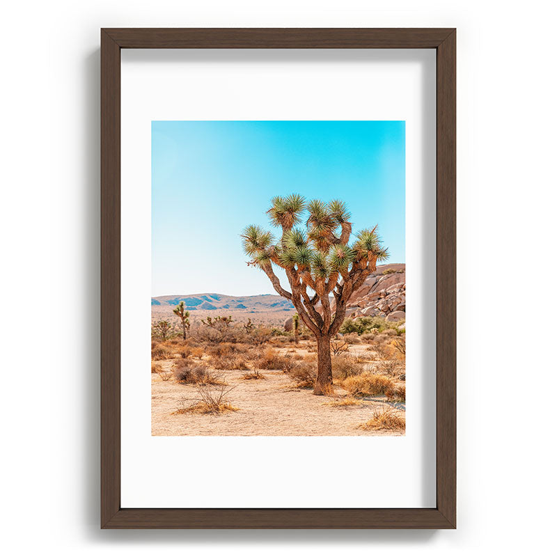 Joshua Tree Framed Art Print