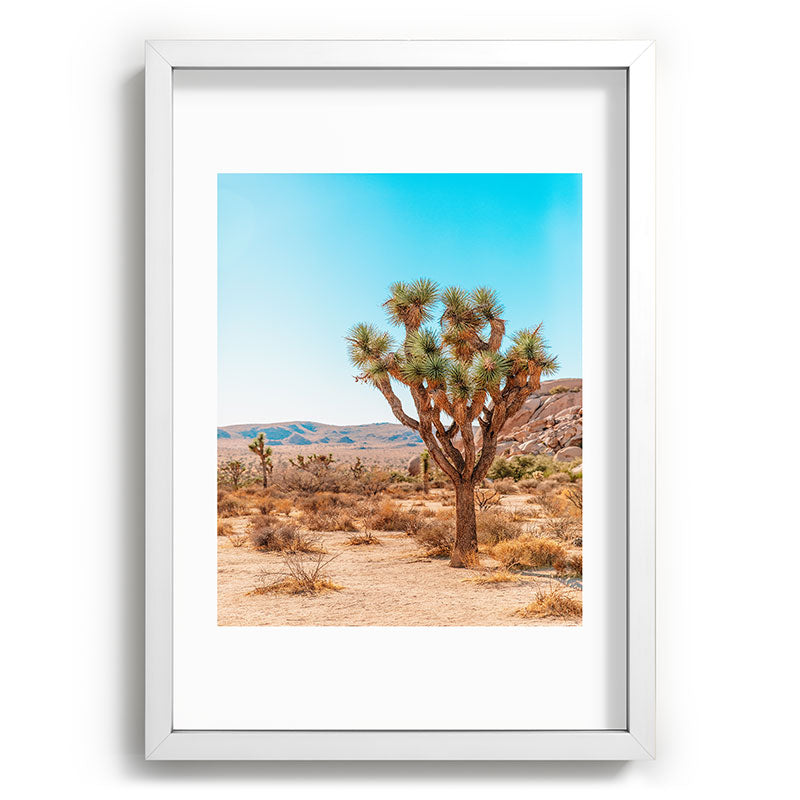 Joshua Tree Framed Art Print