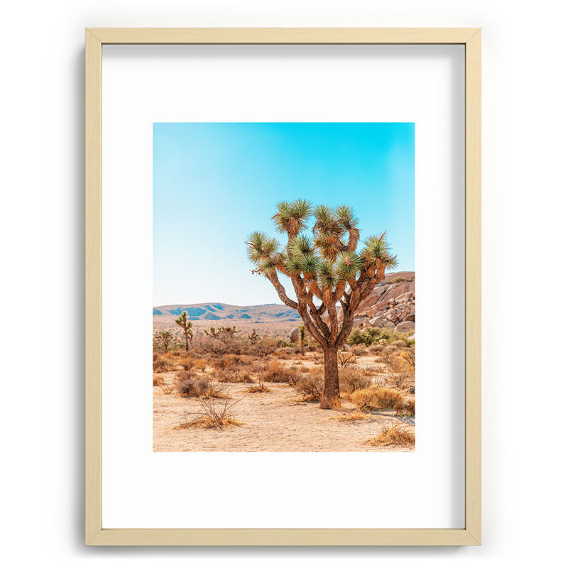Joshua Tree Framed Art Print
