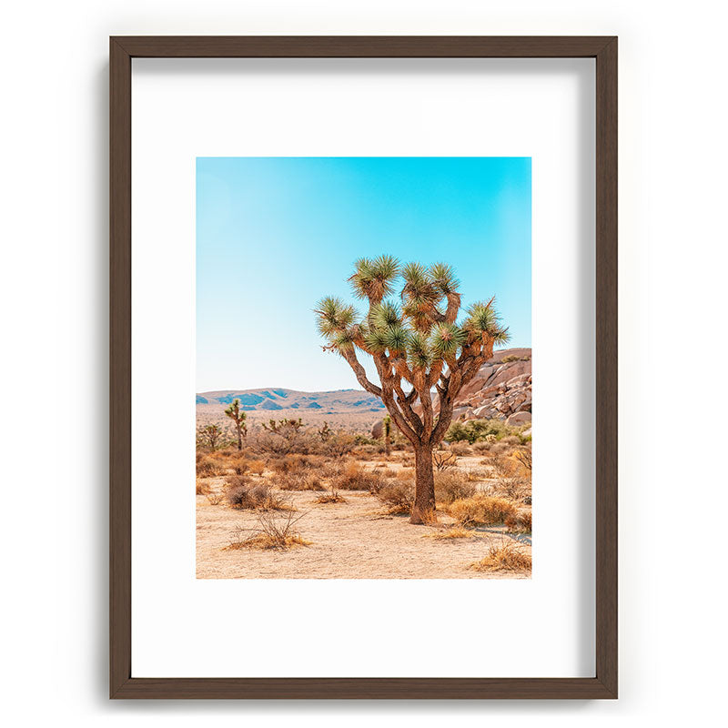 Joshua Tree Framed Art Print