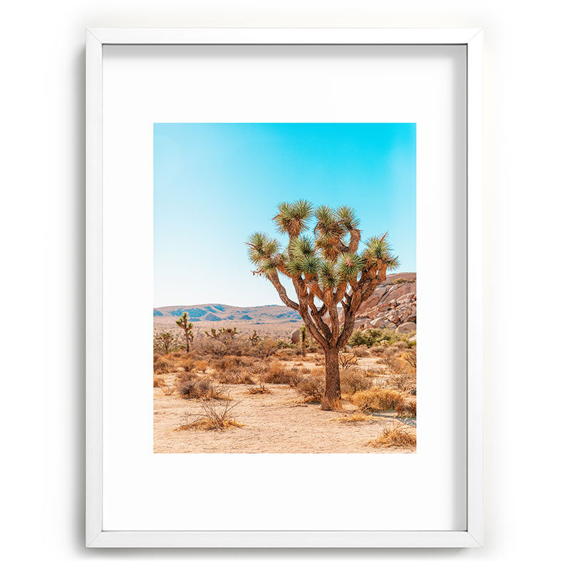 Joshua Tree Framed Art Print