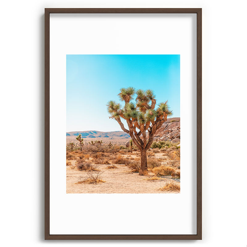 Joshua Tree Framed Art Print