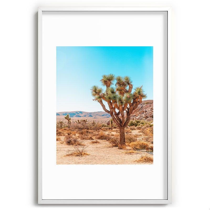 Joshua Tree Framed Art Print