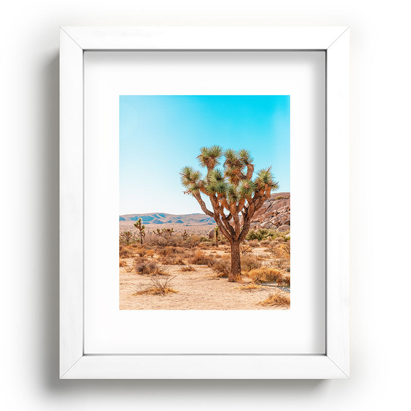 Joshua Tree Framed Art Print