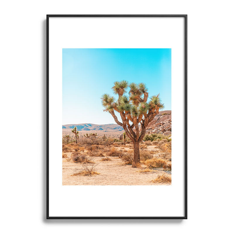 Joshua Tree Framed Art Print