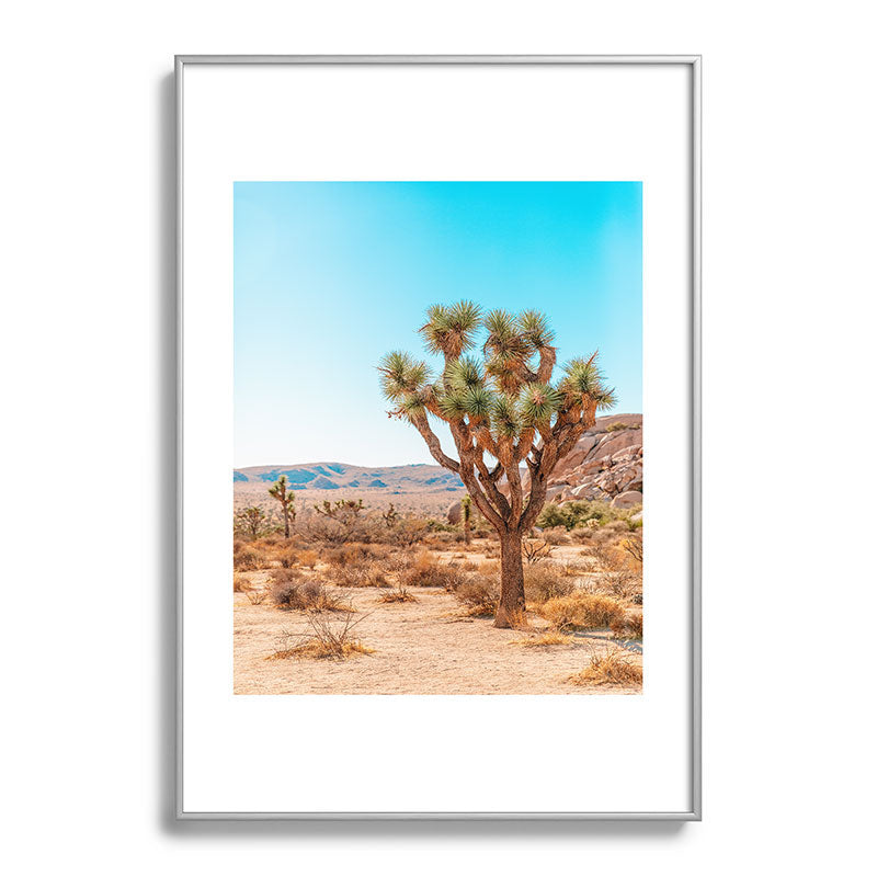 Joshua Tree Framed Art Print