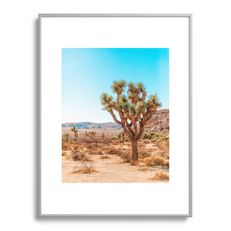 Joshua Tree Framed Art Print