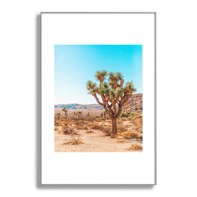 Joshua Tree Framed Art Print