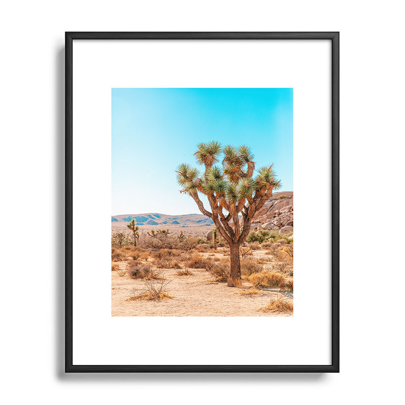 Joshua Tree Framed Art Print