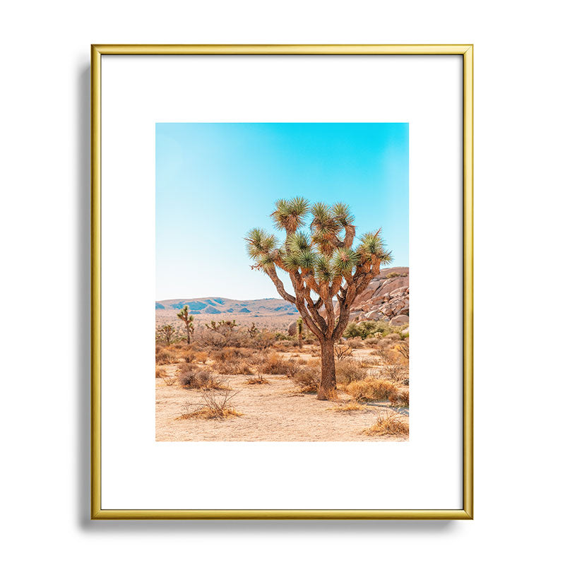 Joshua Tree Framed Art Print