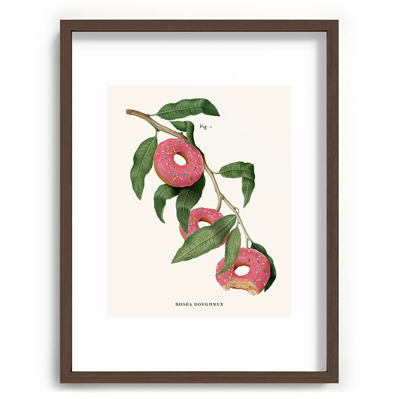 Donut Plant Framed Art Print