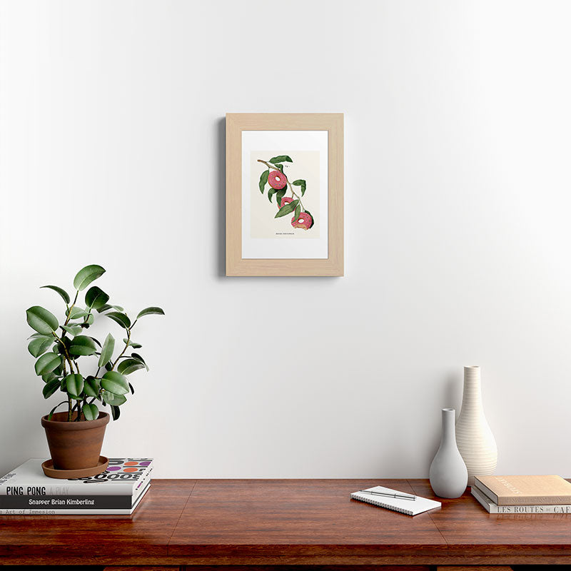 Donut Plant Framed Art Print