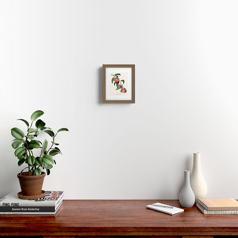 Donut Plant Framed Art Print