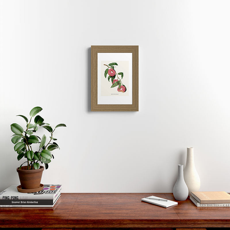 Donut Plant Framed Art Print