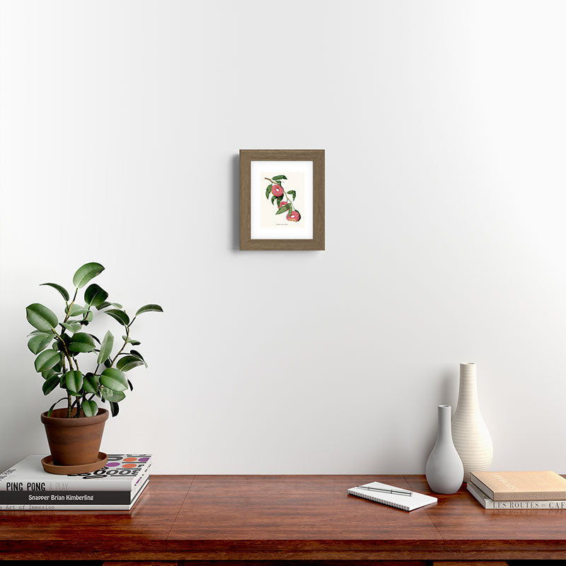 Donut Plant Framed Art Print